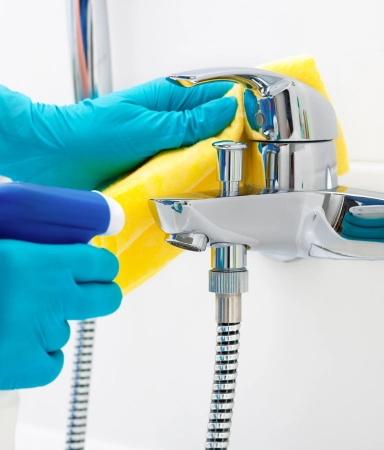 toilet and bathrooom cleaning