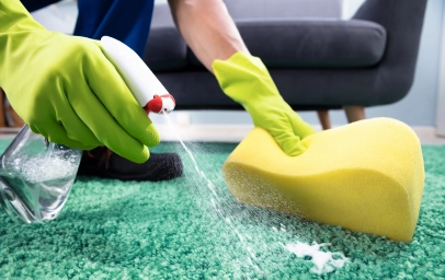 Eco-Friendly Carpet Cleaning Environmental Friendly cleaning
