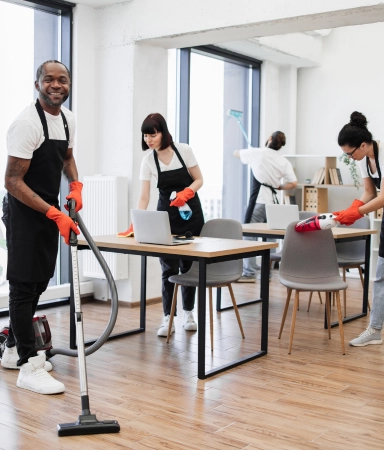 whole house cleaners