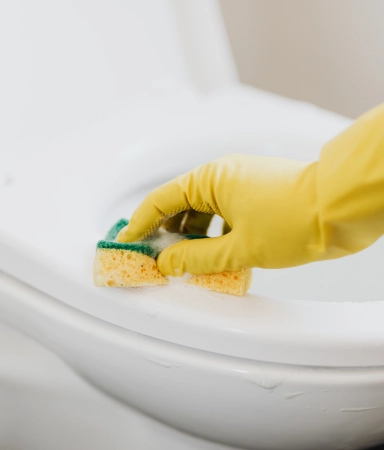 toilet cleaning