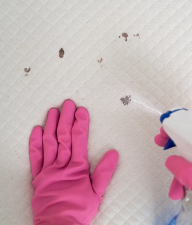 Sofa stain cleaning Manchester