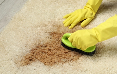 Stain Removal (2) Carpet stain removal