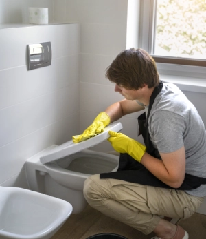 Professional Cleaner