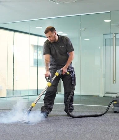 Professional carpet cleaning service