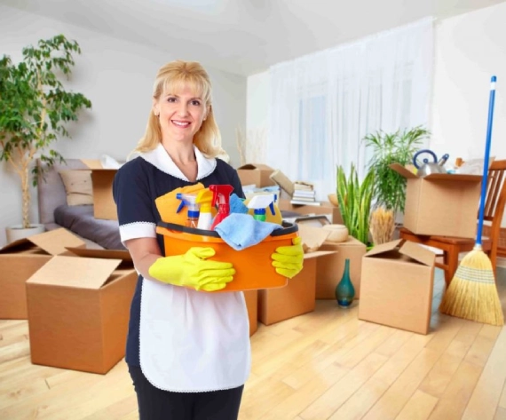 cleaner cleaning an apartment