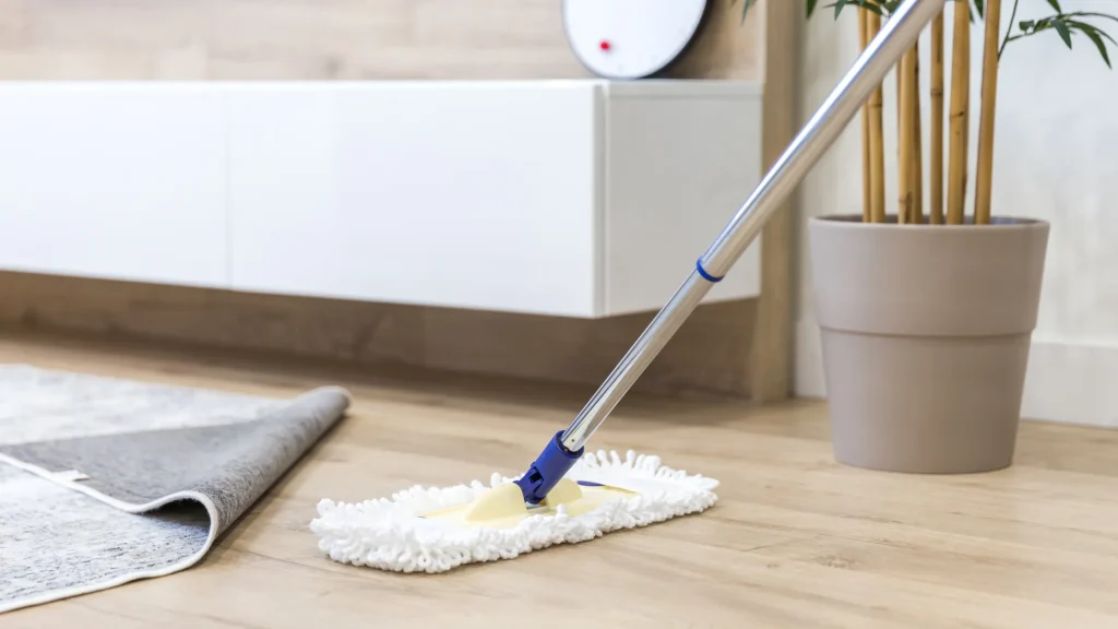 cleaning service 3
