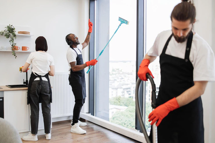 Professional Cleaning