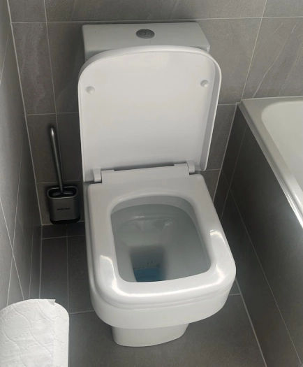 toilet cleaned toilet cleaned