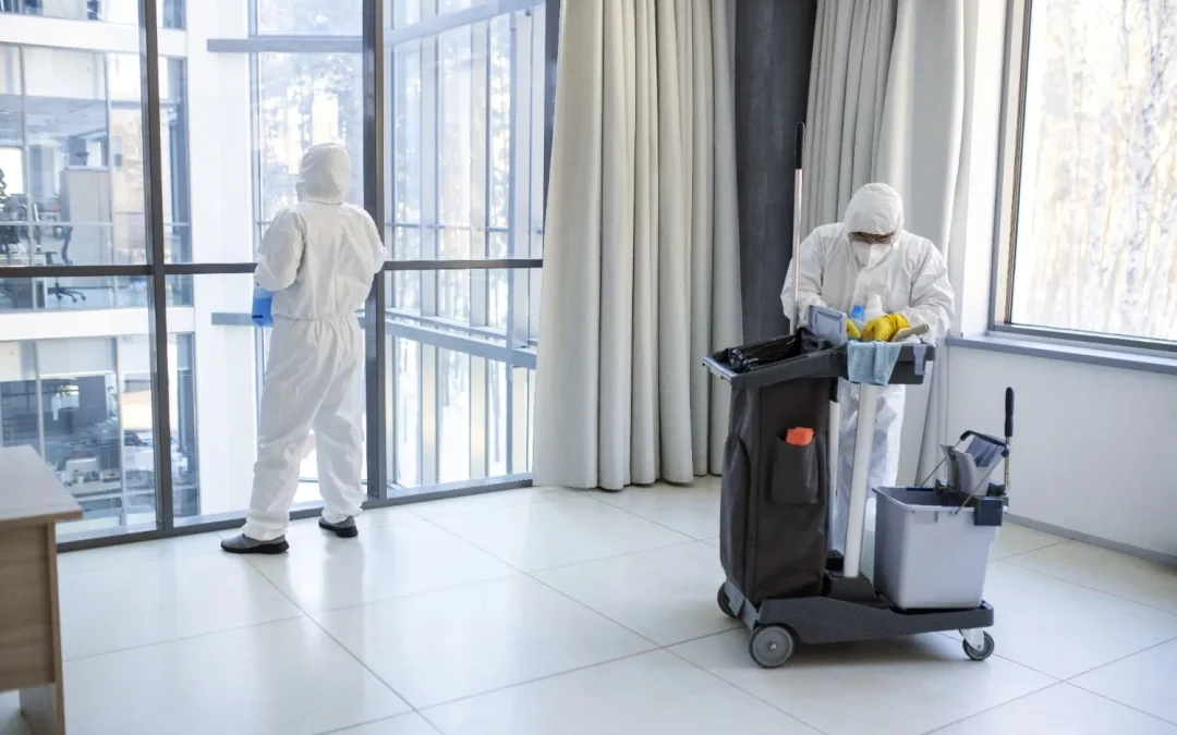 What Happens After You Book a Cleaning with Us in Manchester? Step-by-Step Walkthrough