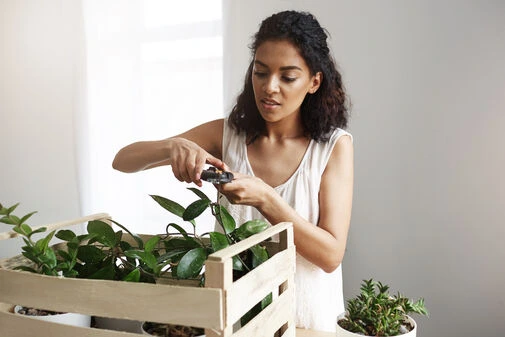 Environmentally Friendly Habits that are Right for You