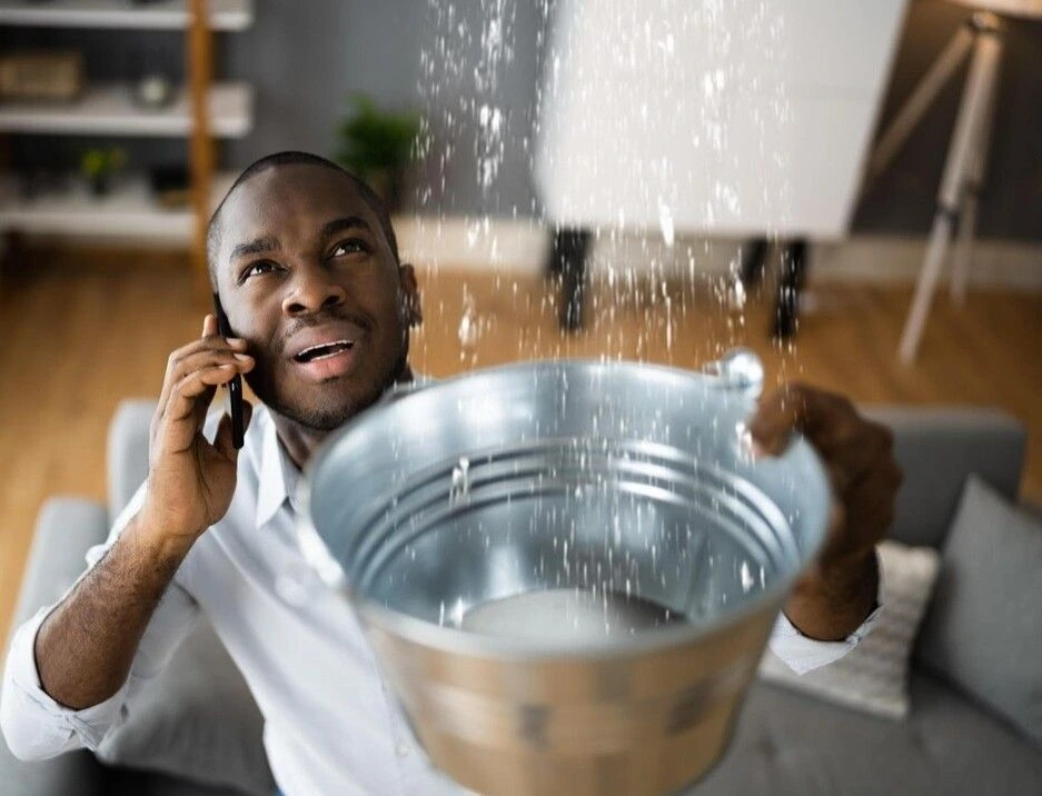 Preliminary inspection