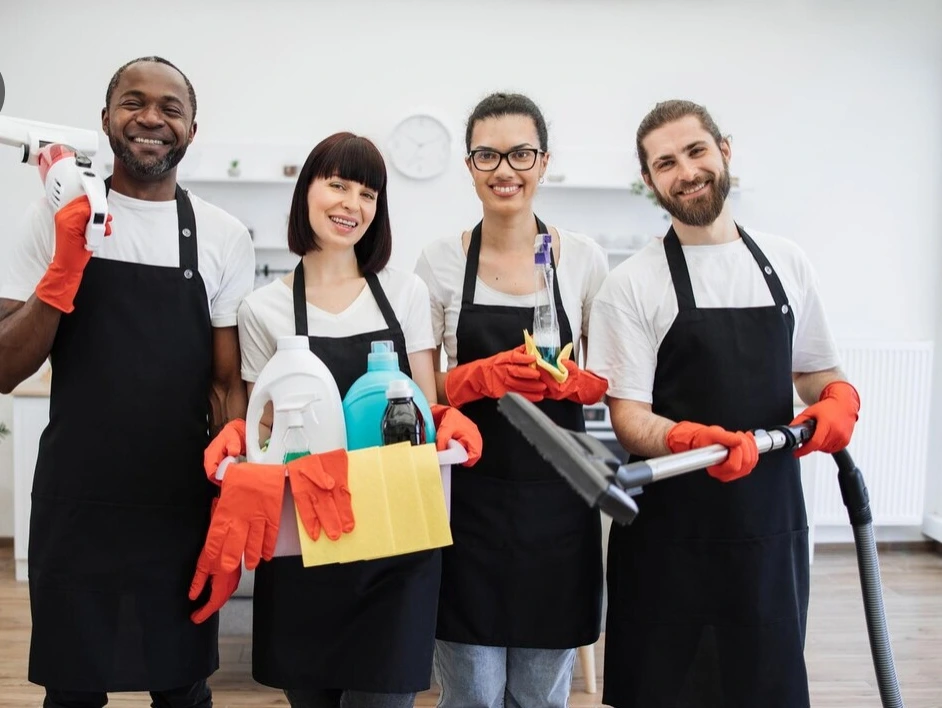 Professional Cleaners